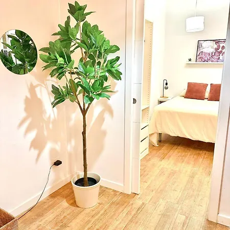 En El Corazon De Cruz Apartment Santa Cruz de Tenerife